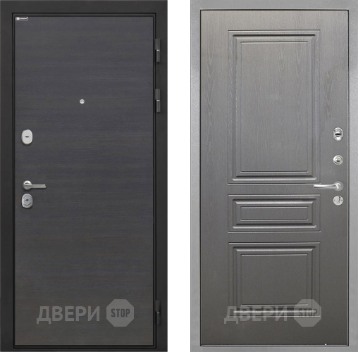 Входная металлическая Дверь Интекрон (INTECRON) Гектор Эковенге ФЛ-243 Графит вуд дуб в Ивантеевке