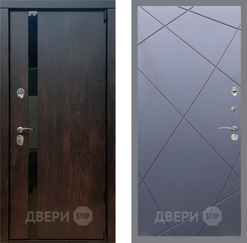 Дверь Рекс (REX) 26 FL-291 Силк титан в Ивантеевке